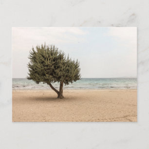 Elegante farbenfrohe Reise-Postkarte mit Baum Feiertagspostkarte