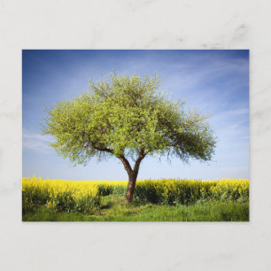 Elegante farbenfrohe Reise-Postkarte mit Baum Feiertagspostkarte