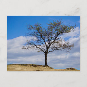 Elegante farbenfrohe Reise-Postkarte mit Baum Feiertagspostkarte