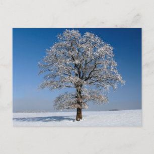Elegante farbenfrohe Reise-Postkarte mit Baum Feiertagspostkarte