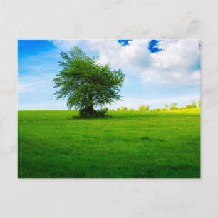 Elegante farbenfrohe Reise-Postkarte mit Baum Feiertagspostkarte