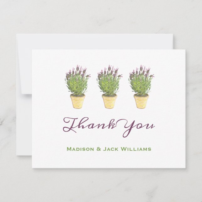 Elegante französische Lavender Potted Pflanze Viel Dankeskarte (Vorderseite)