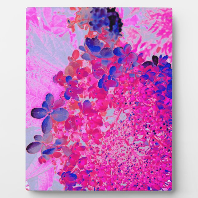 Elegante Fuchsia und dunkelblaue Limelight Hydrang Fotoplatte (Vorderseite)