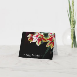 Elegante Geburtstags-Karten-rot u. Gelbetulpen Karte