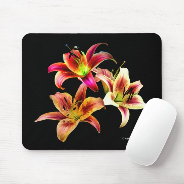 Elegante, gelb-rosa Taglilien Blume Mousepad (Mit Mouse)