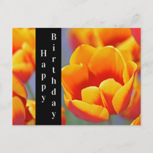Elegante gelbe und rote Tulpe Alles Gute zum Gebur Postkarte