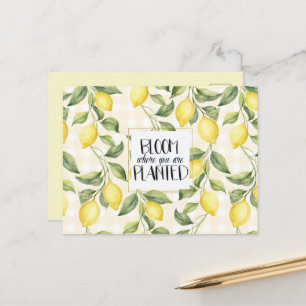 Elegante gelbe Zitronen blühen Postkarte