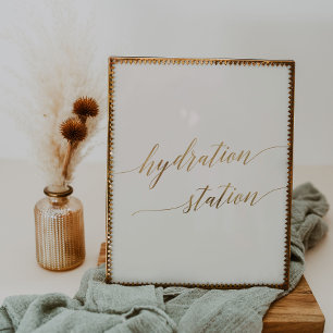Elegante Gold-Kalligrafie Elfenbein-Hydrationsstat Poster