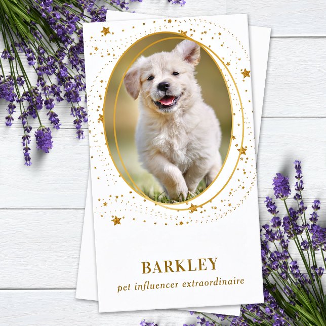 Elegante Gold Stars Custom Foto QR Social Media Visitenkarte (Von Creator hochgeladen)