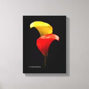 Elegante goldene und karmesinrote Calla-Lilien Leinwanddruck