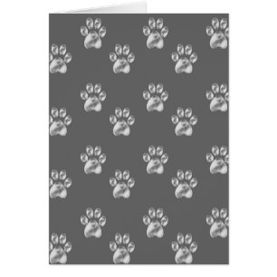 Elegante graue Pfoten auf weißem Boden innen