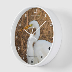 Elegante Great Egret Wading Bird in Reeds Uhr
