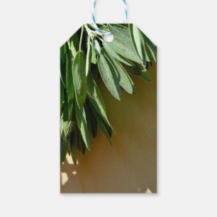 Elegante grüne botanische Blätter Frischfrische Kr Geschenkanhänger