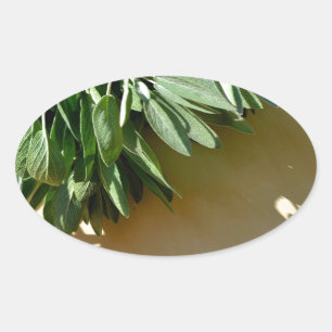 Elegante grüne botanische Blätter Frischfrische Kr Ovaler Aufkleber