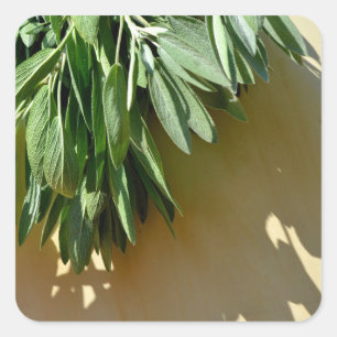 Elegante grüne botanische Blätter Frischfrische Kr Quadratischer Aufkleber