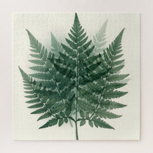 Elegante grüne Farnwedel Botanisch Puzzle