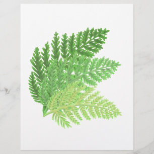 Elegante grüne Wasserfarben-Farne Waldblätter