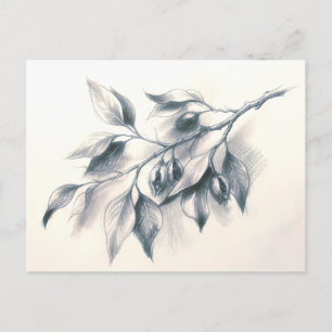 Elegante Grußkarte mit Wasserfarben-Olivenzweig Postkarte