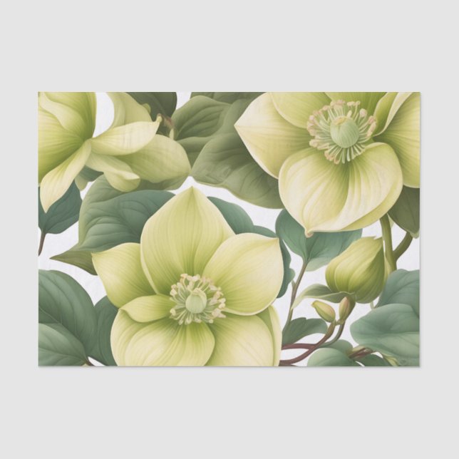 Elegante Hellebore-Blume Seidenpapier (Vorderseite)