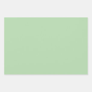 Elegante, hellgrüne Farbe Geschenkpapier Set