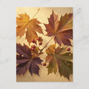 Elegante Herbst-Ahornblätter rote Beeren golden Postkarte