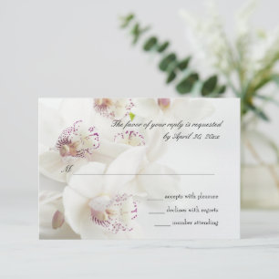 Elegante Hochzeit von Weiß und Lila Orchideen RSVP Karte