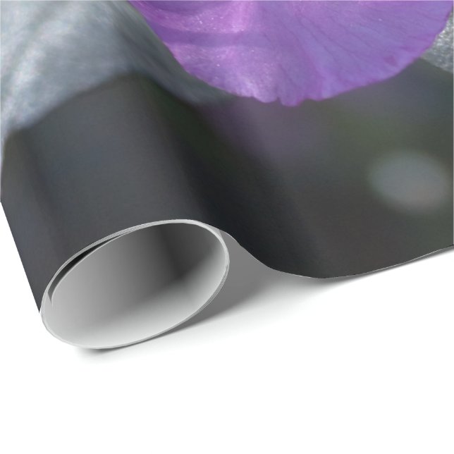 elegante, hübsche Frühling lila azalea Blume. Geschenkpapier (Rolleneckpunkt)