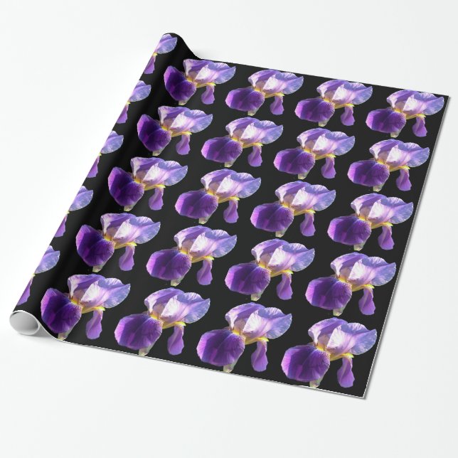 Elegante, hübsche lila Iris-Blume in Schwarz Geschenkpapier (Ungerollt)