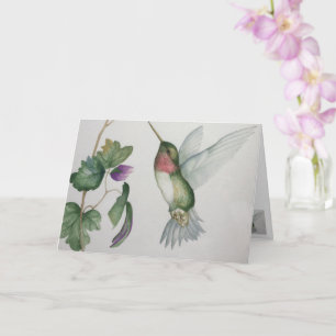 Elegante Hummingbird Wasserfarbenblank Karte