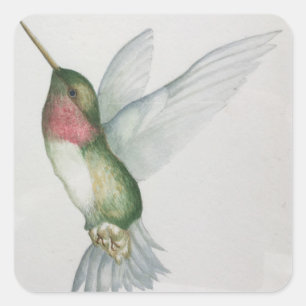 Elegante Hummingbird Wings Aquareller Quadratischer Aufkleber