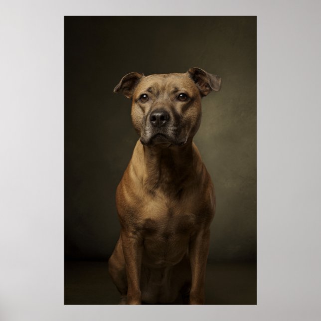 Elegante Hund-Silhouette Poster (Vorne)