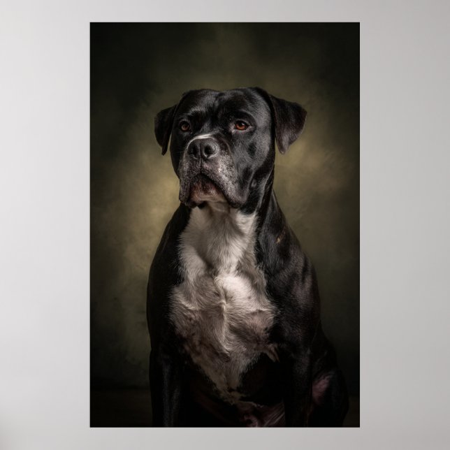 Elegante Hund-Silhouette Poster (Vorne)