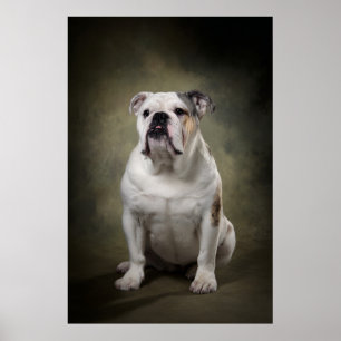 Elegante Hund-Silhouette Poster