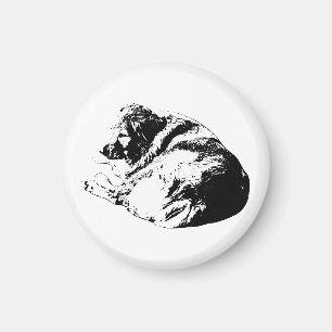 Elegante Hunde-Accessoires sorgen für eine ruhige Magnet