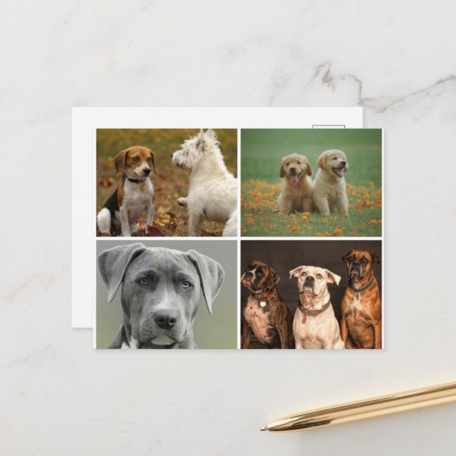 ELEGANTE HUNDE POSTKARTE (Vorderseite/Rückseite Beispiel)
