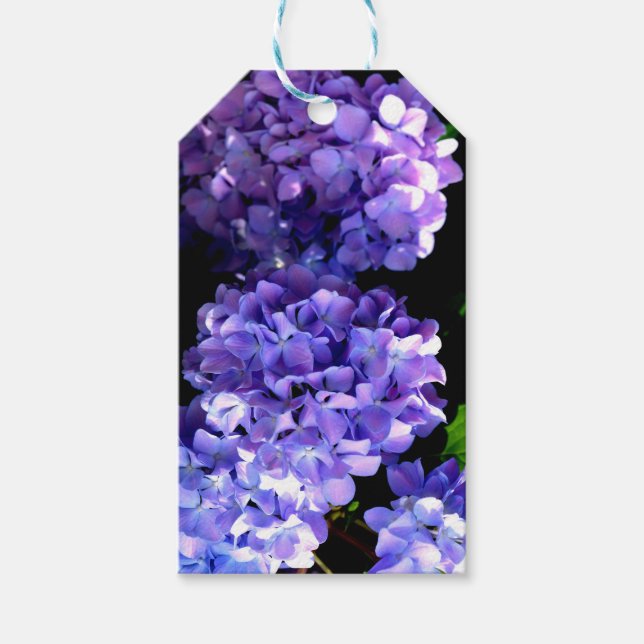 Elegante Hydrangeas lila blaue Blume Geschenkanhänger (Vorderseite)