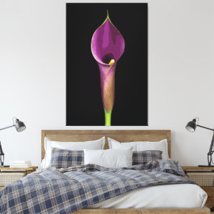 Elegante Illustration der violetten Calla-Lilie Leinwanddruck