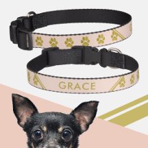 Elegante Imitate Gold Paw druckt Rosa Farbe