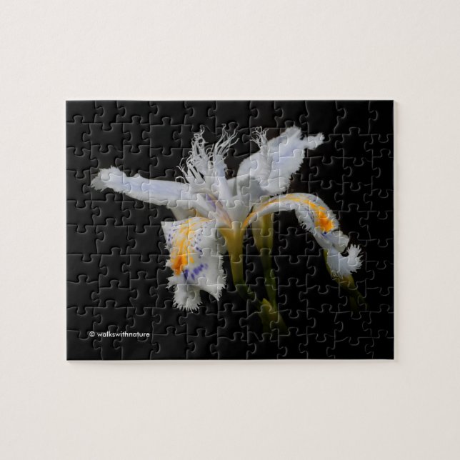 Elegante japanische Crested Iris White Blume Puzzle (Horizontal)
