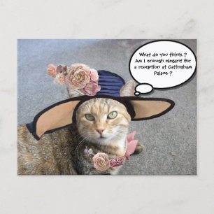 ELEGANTE KATZE MIT GROSSEM DIVA HAT,PINK ROSES FEIERTAGSPOSTKARTE
