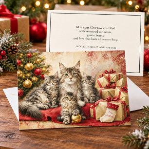 Elegante Katzenkätzchen Weihnachten