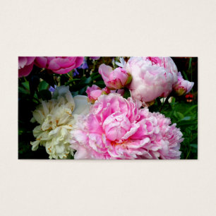 Elegante, klassisch rosa, weiße Blütenbäume