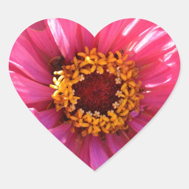 Elegante klassische Blume mit rosa Blumen Herz-Aufkleber (Vorderseite)