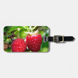 Elegante klassische Himbeeren Gepäckanhänger