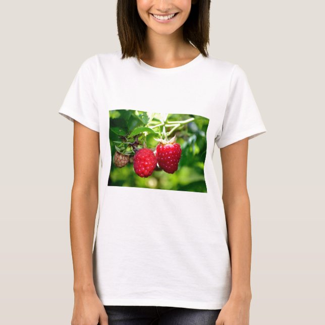 Elegante klassische Himbeeren T-Shirt (Vorderseite)