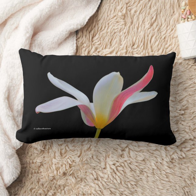 Elegante Lady Tulip White Pink Blume Lendenkissen (Decke)