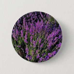 Elegante Lavendel-Brosche Button