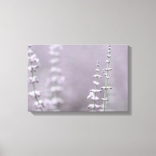 Elegante Lavender-Blume Leinwanddruck