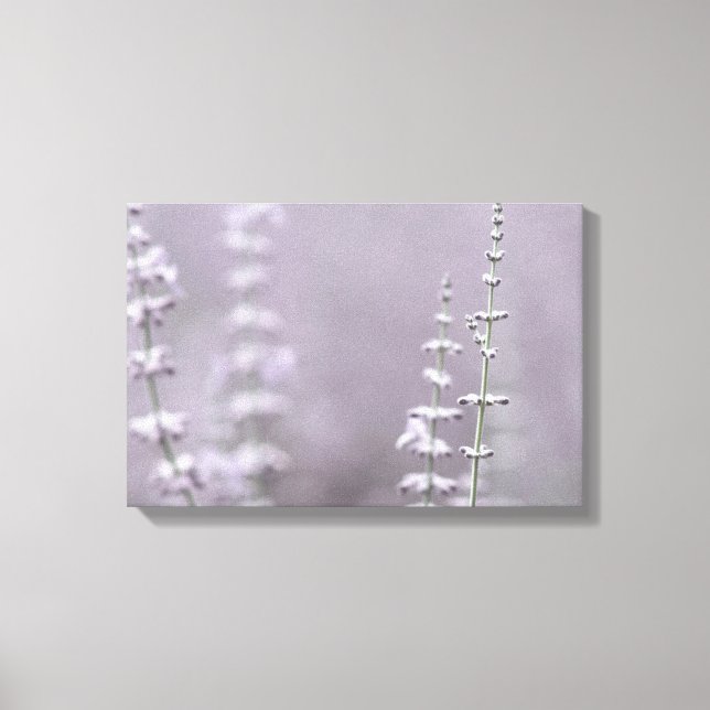 Elegante Lavender-Blume Leinwanddruck (Vorderseite)