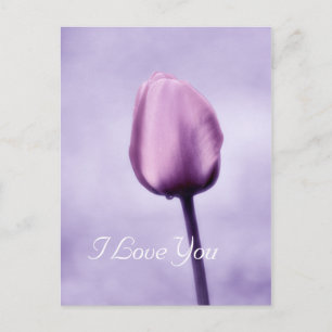 Elegante Lavender Lila Tulip I Liebe Sie Postkarte